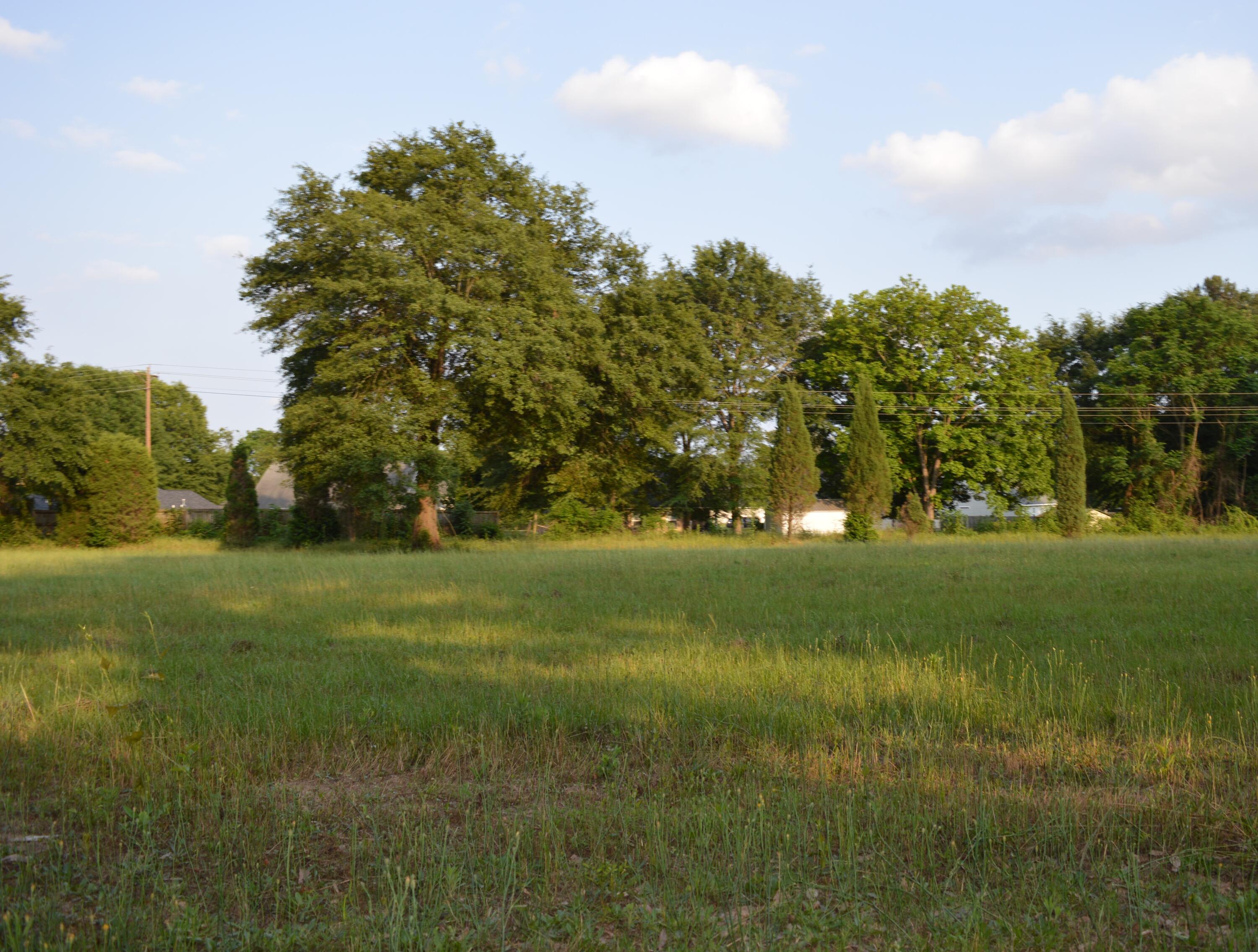 Lot 2 Coward Road Aiken, SC 29803 - Photo 2 of 2 Gallery Image 2