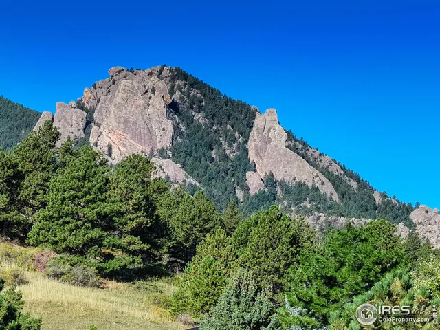 a bedroom with a large bed and a couch