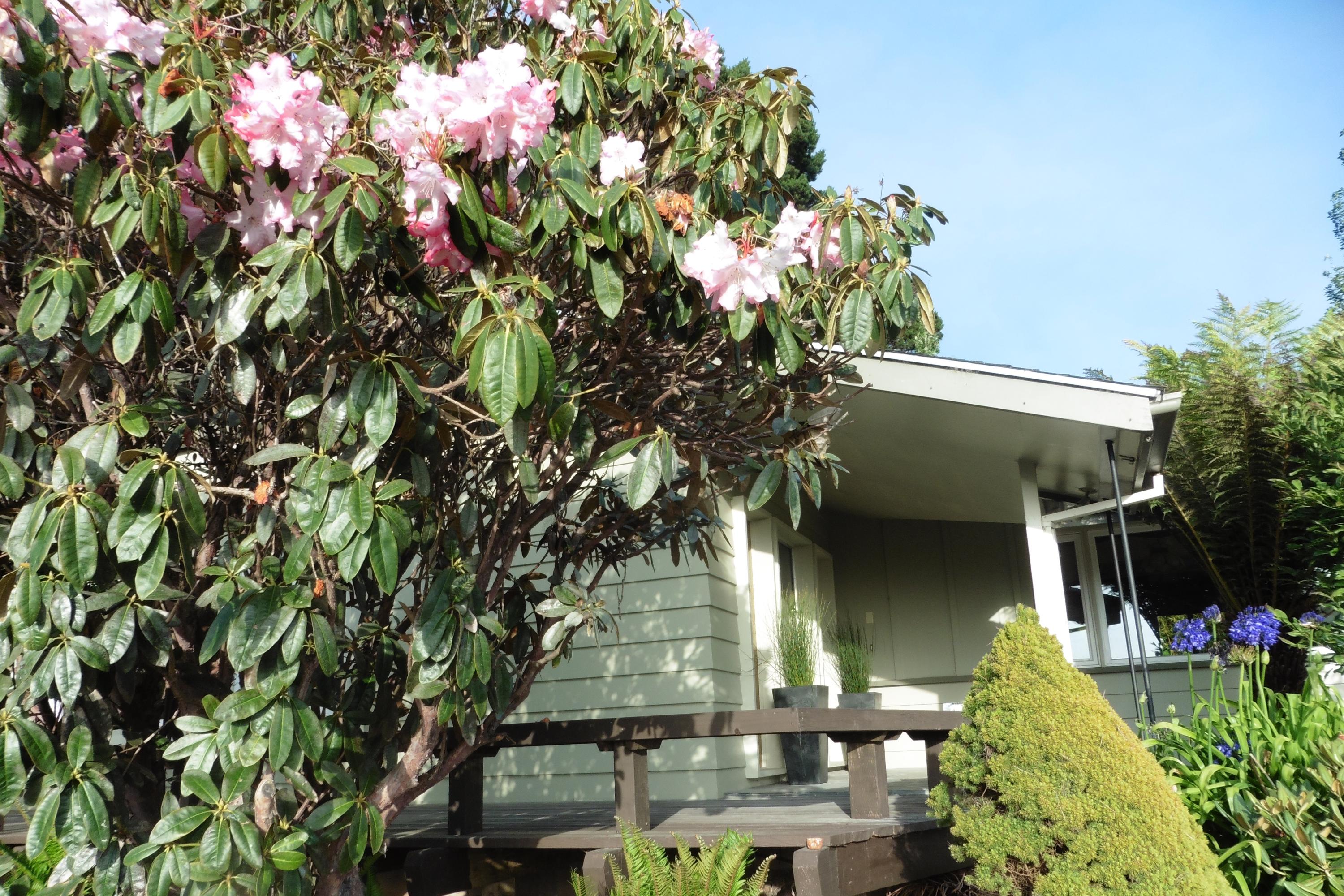 1500 Old Arcata Road Arcata, CA 95521 - Photo 11 of 23 Gallery Image 11