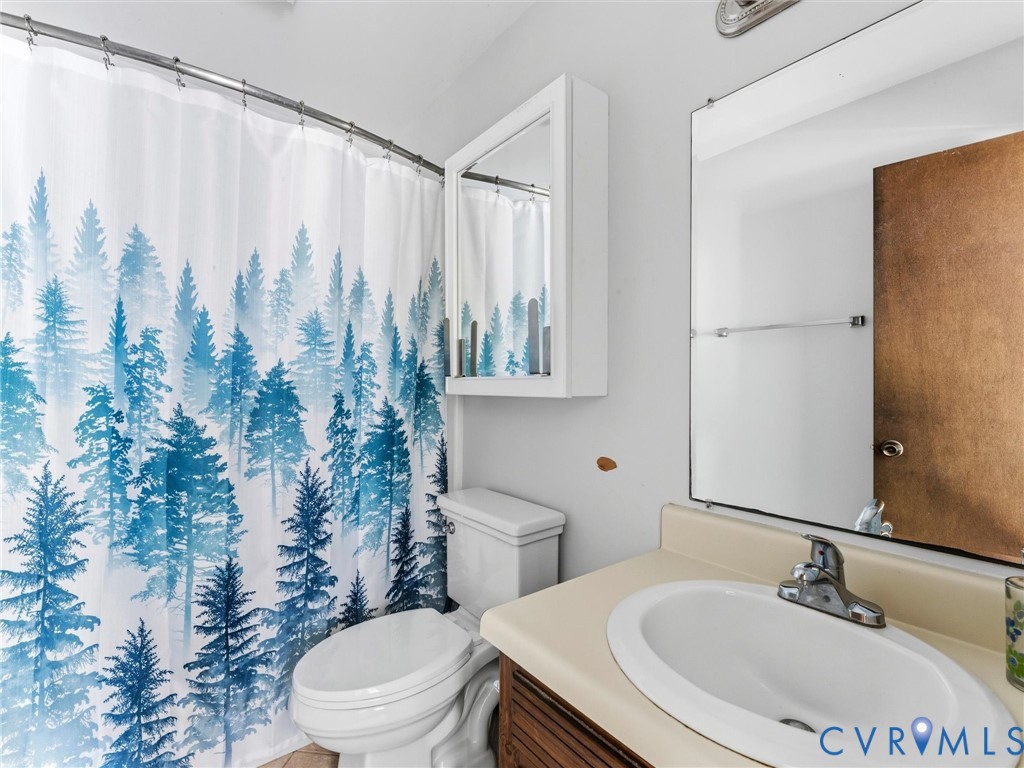 2217 Mountain View Road Powhatan, VA 23139 - Photo 14 of 29