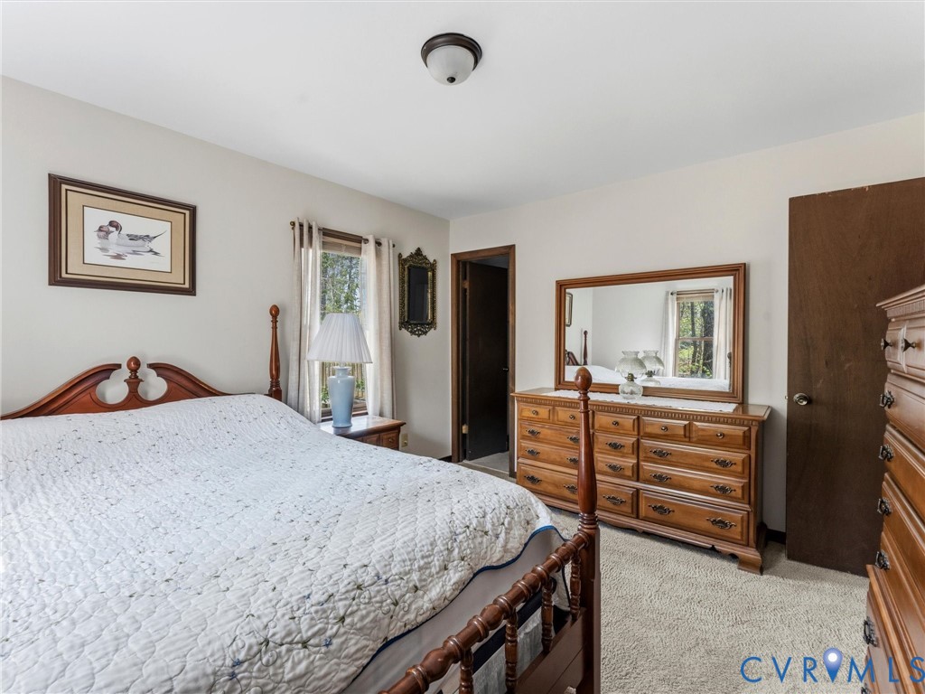 2217 Mountain View Road Powhatan, VA 23139 - Photo 15 of 29