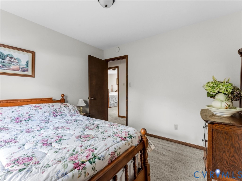 2217 Mountain View Road Powhatan, VA 23139 - Photo 20 of 29