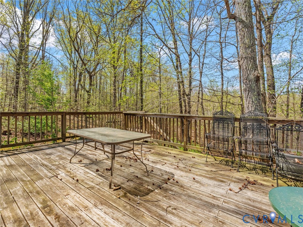 2217 Mountain View Road Powhatan, VA 23139 - Photo 23 of 29