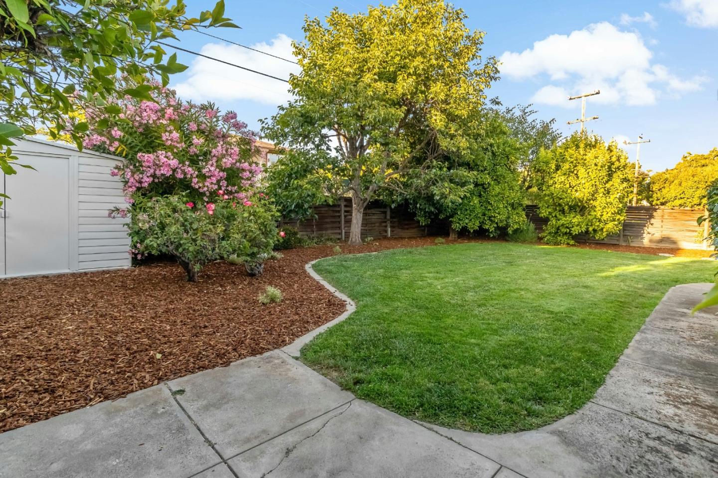 4825 Blue Ridge Drive San Jose, CA 95129 - Photo 29 of 39 a view of a backyard with large trees