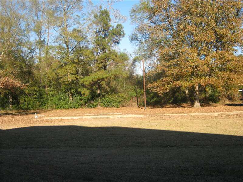 40301 Macedonia Road Hammond, LA 70403 - Photo 8 of 16