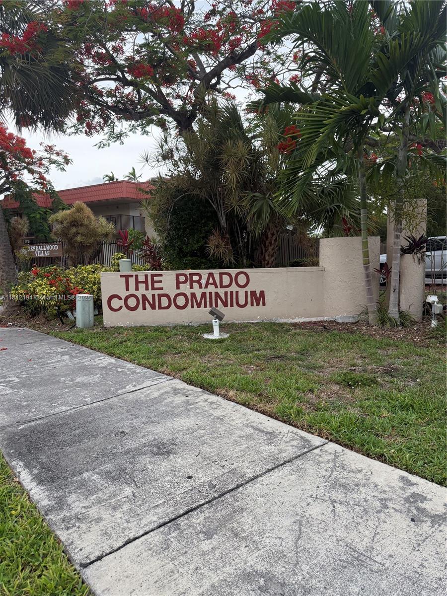 a view of a park with large trees
