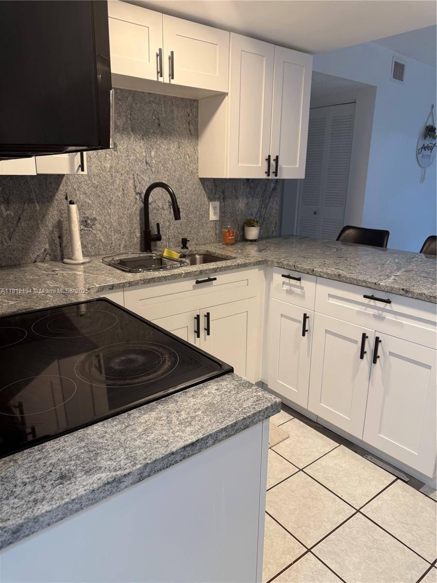10661 Southwest 108th Avenue, Unit 2E Miami, FL 33176 - Photo 9 of 25 a kitchen with granite countertop a sink and cabinets