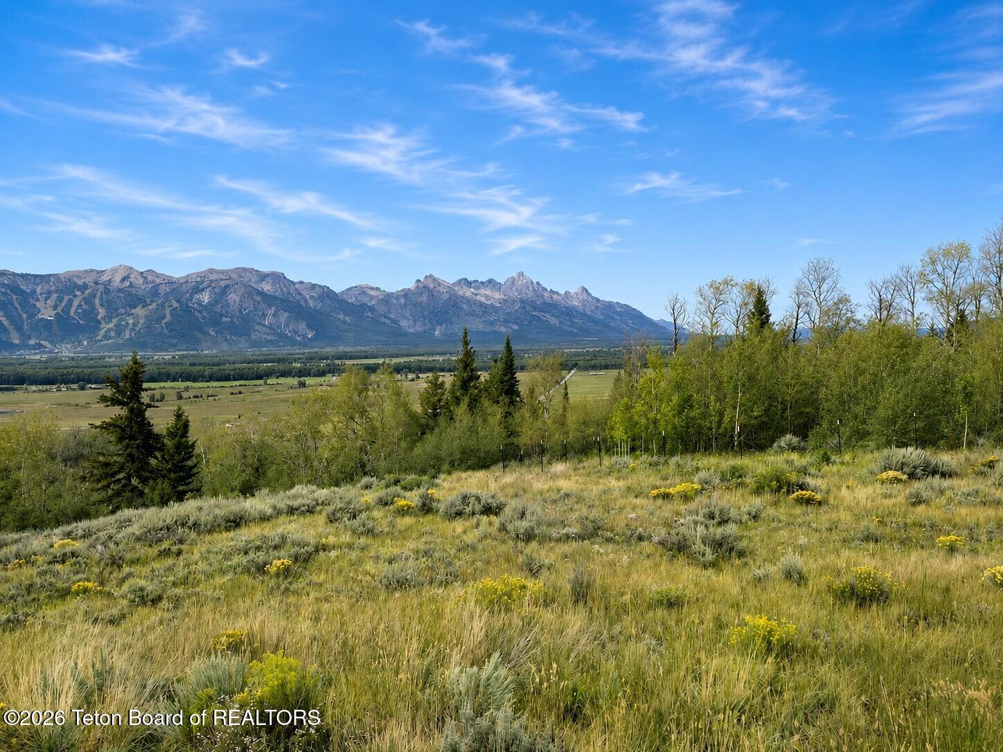 Riva Ridge Road Jackson, WY 83001 - Photo 11 of 16 Views