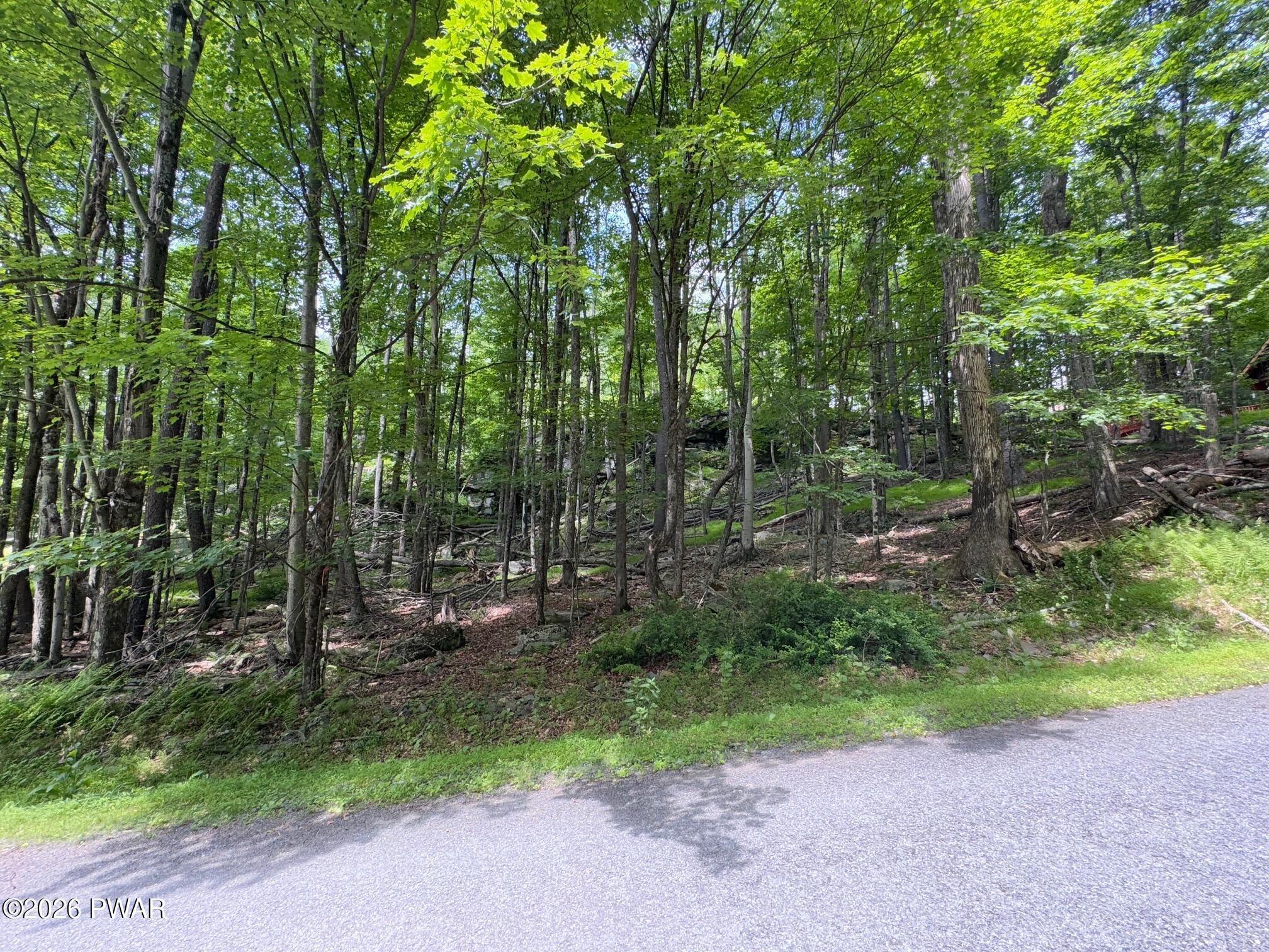 Lot 193 Cygnus Road Lake Ariel, PA 18436 - Photo 3 of 25