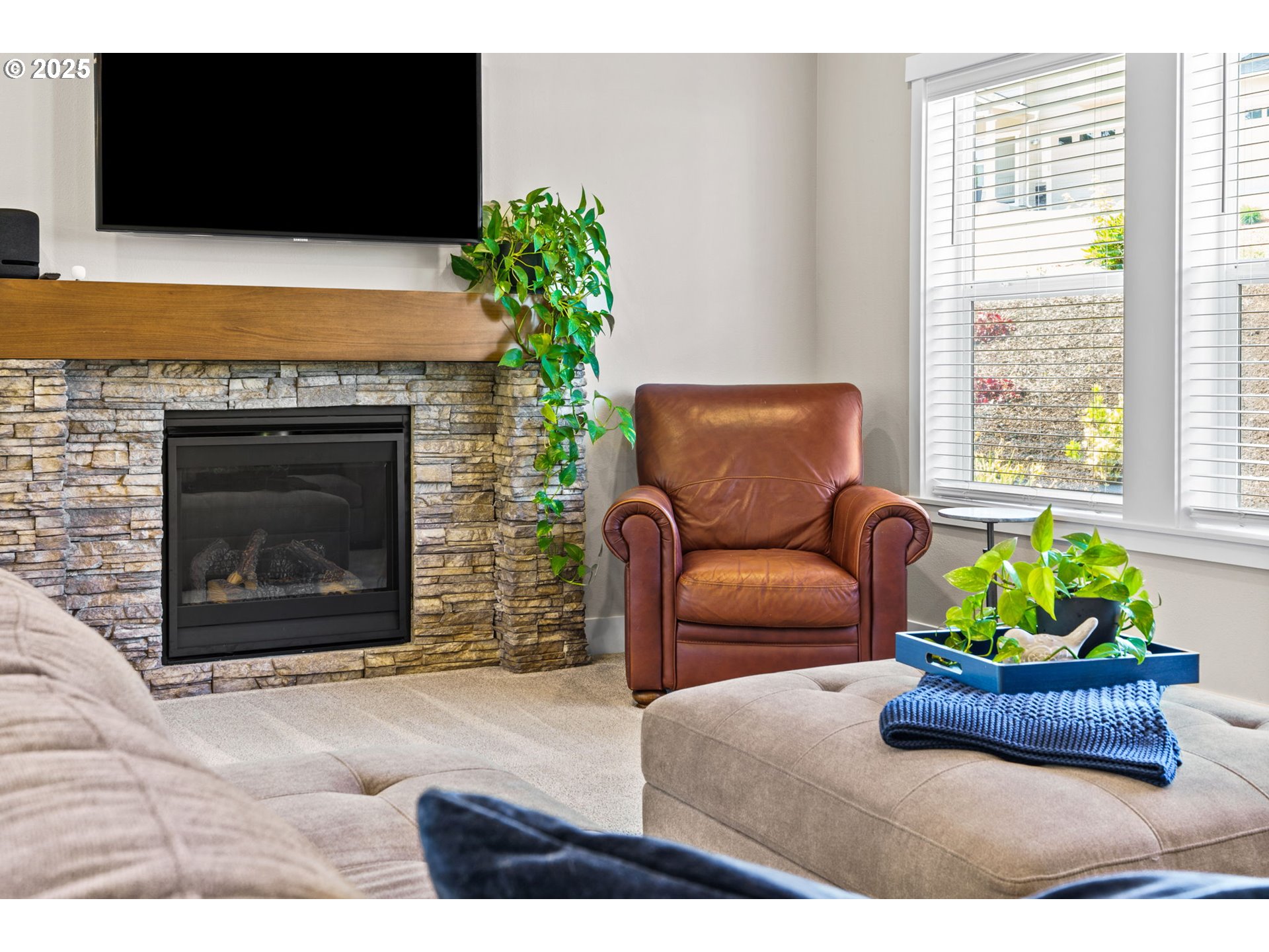 3740 Rockcress Road Eugene, OR 97403 - Photo 8 of 47 a living room with furniture potted plant and a fireplace