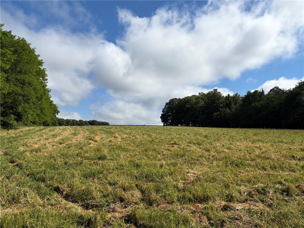7690 Banks Road Pike, NY 14066 - Photo 41 of 49