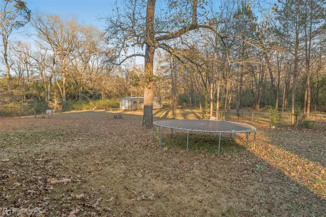 a view of backyard with green space