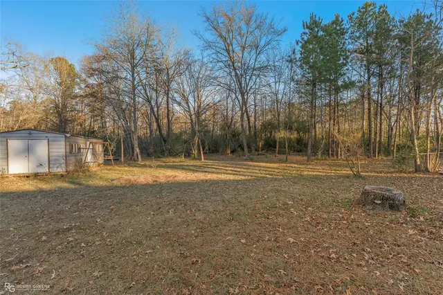 a view of yard with tree in front of it