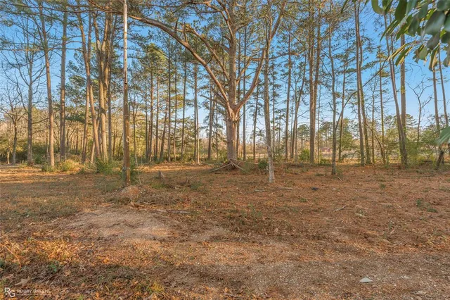 a view of dirt field
