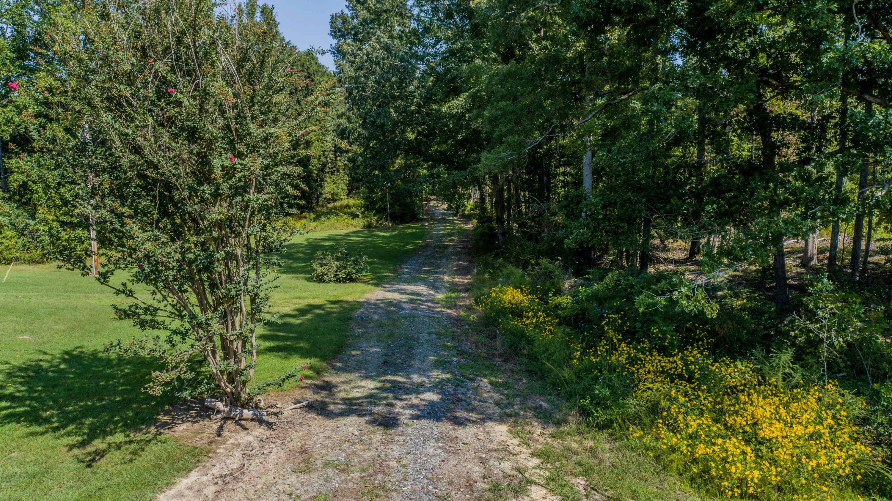 3640 Old Allensville Road Roxboro, NC 27574 - Photo 39 of 94 Photo 39