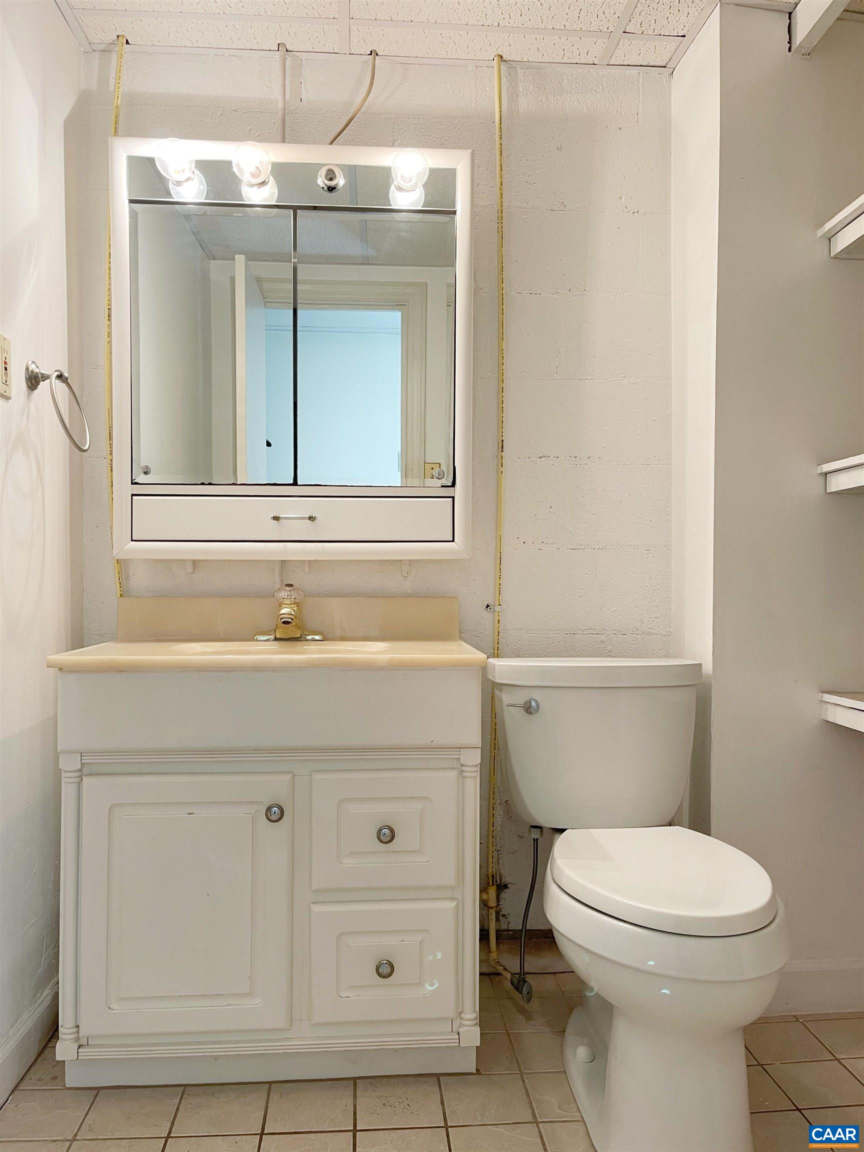384 Carpenters Mill Road Ruckersville, VA 22968 - Photo 23 of 27 a bathroom with a sink a toilet and a mirror