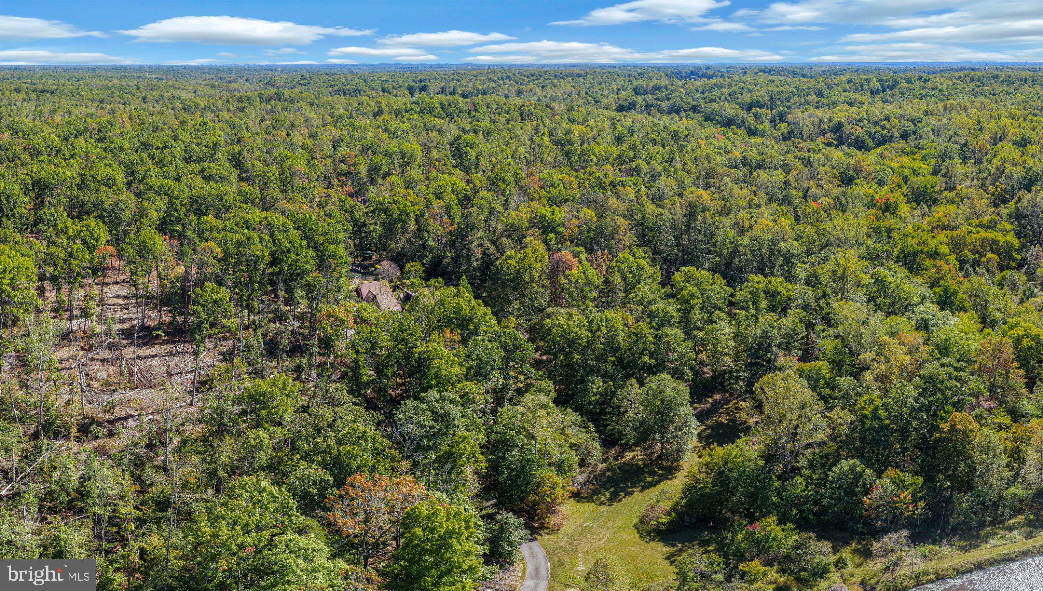 2169 Beaver Dam Road Midland, VA 22728 - Photo 91 of 105 View from above the Pond