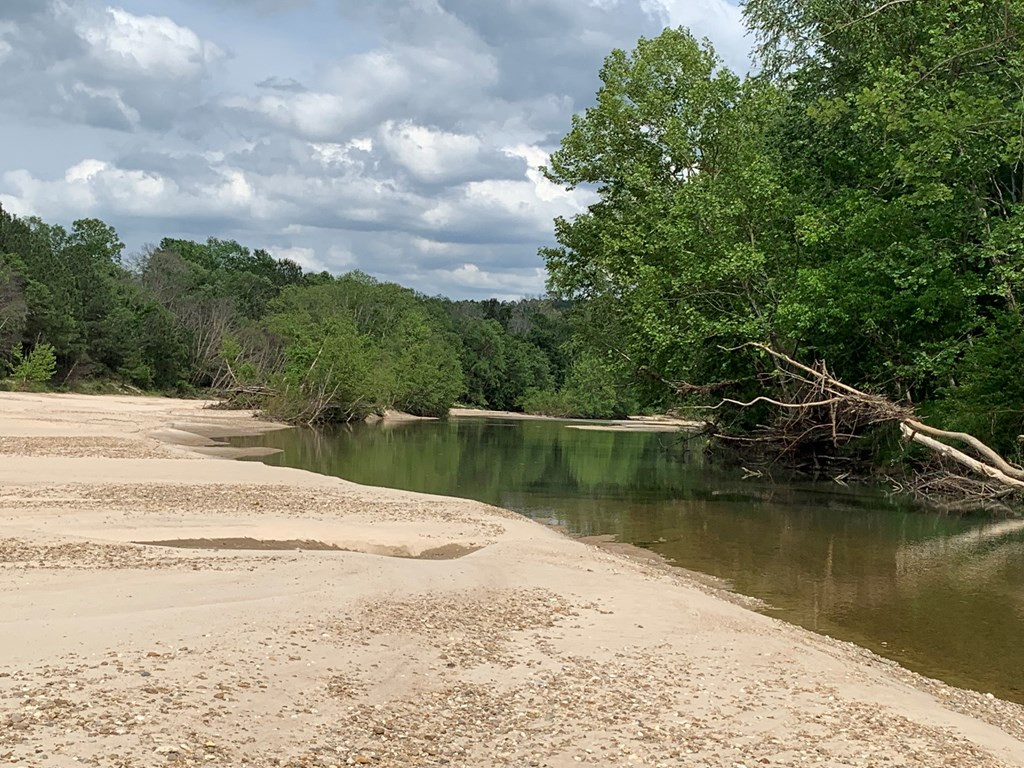 . Southwest Oldenburg Road Meadville, MS 39653 - Photo 17 of 37 Photo 17