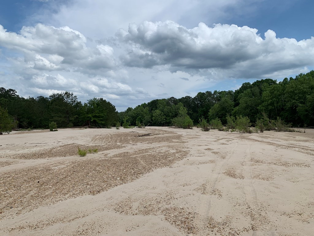 . Southwest Oldenburg Road Meadville, MS 39653 - Photo 22 of 37 Photo 22