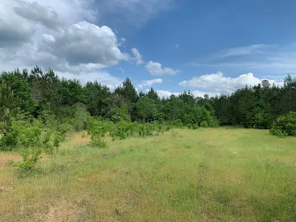 $1,047,404 | . Southwest Oldenburg Road, Meadville, MS 39653