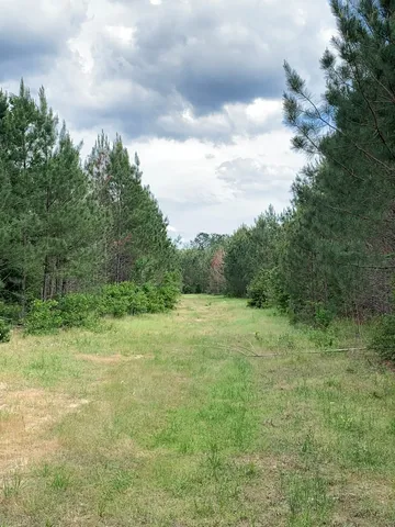 $1,047,404 | . Southwest Oldenburg Road, Meadville, MS 39653
