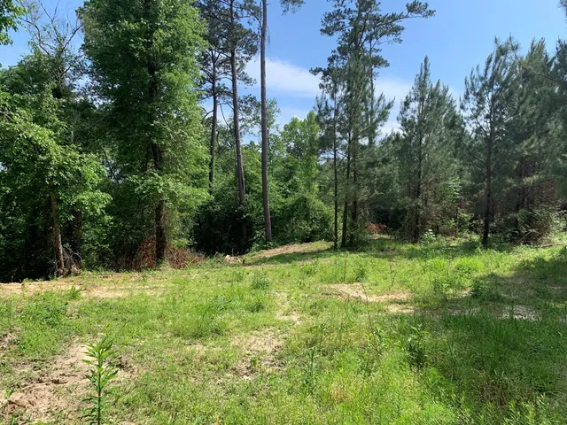 $1,047,404 | . Southwest Oldenburg Road, Meadville, MS 39653