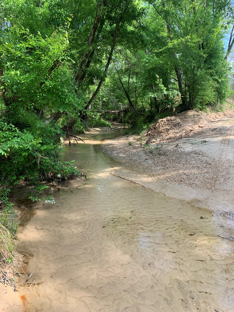 . Southwest Oldenburg Road Meadville, MS 39653 - Photo 28 of 37 Photo 28