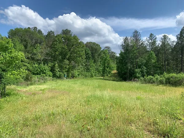 $1,047,404 | . Southwest Oldenburg Road, Meadville, MS 39653