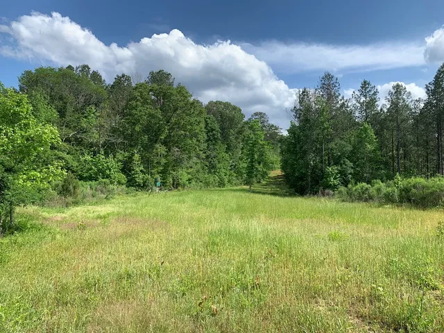 $1,047,404 | . Southwest Oldenburg Road, Meadville, MS 39653