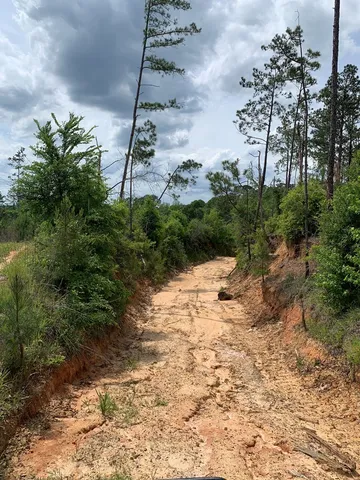 $1,047,404 | . Southwest Oldenburg Road, Meadville, MS 39653