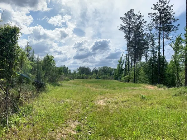 $1,047,404 | . Southwest Oldenburg Road, Meadville, MS 39653
