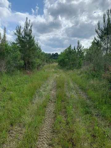 $1,047,404 | . Southwest Oldenburg Road, Meadville, MS 39653