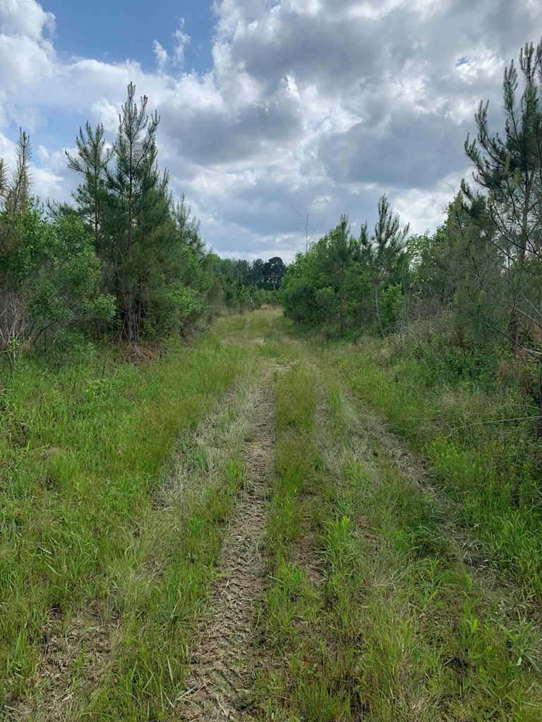 . Southwest Oldenburg Road Meadville, MS 39653 - Photo 33 of 37 Photo 33