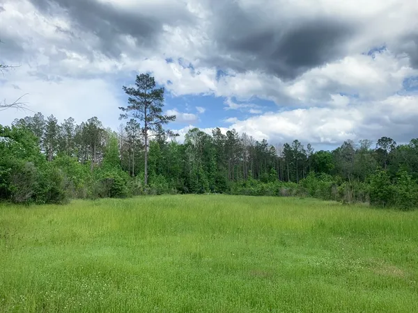 $1,047,404 | . Southwest Oldenburg Road, Meadville, MS 39653