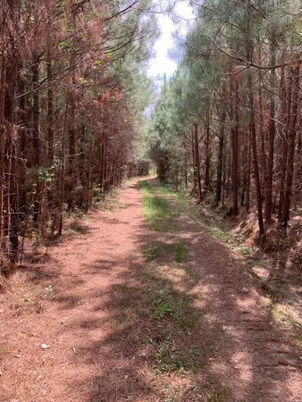 $1,047,404 | . Southwest Oldenburg Road, Meadville, MS 39653