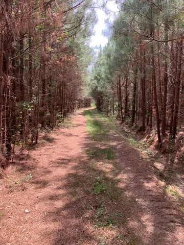 $1,047,404 | . Southwest Oldenburg Road, Meadville, MS 39653