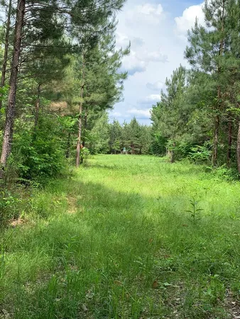 $1,047,404 | . Southwest Oldenburg Road, Meadville, MS 39653