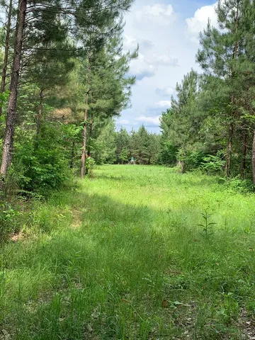 $1,047,404 | . Southwest Oldenburg Road, Meadville, MS 39653
