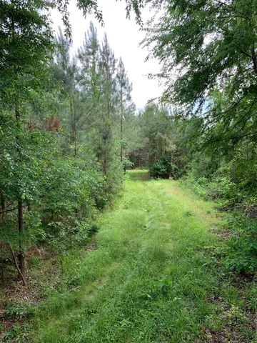 $1,047,404 | . Southwest Oldenburg Road, Meadville, MS 39653