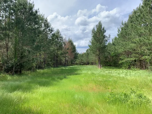 $1,047,404 | . Southwest Oldenburg Road, Meadville, MS 39653