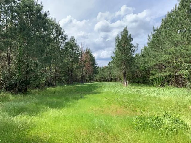 $1,047,404 | . Southwest Oldenburg Road, Meadville, MS 39653