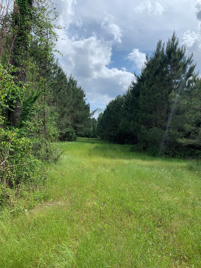 . Southwest Oldenburg Road Meadville, MS 39653 - Photo 10 of 37 Photo 10