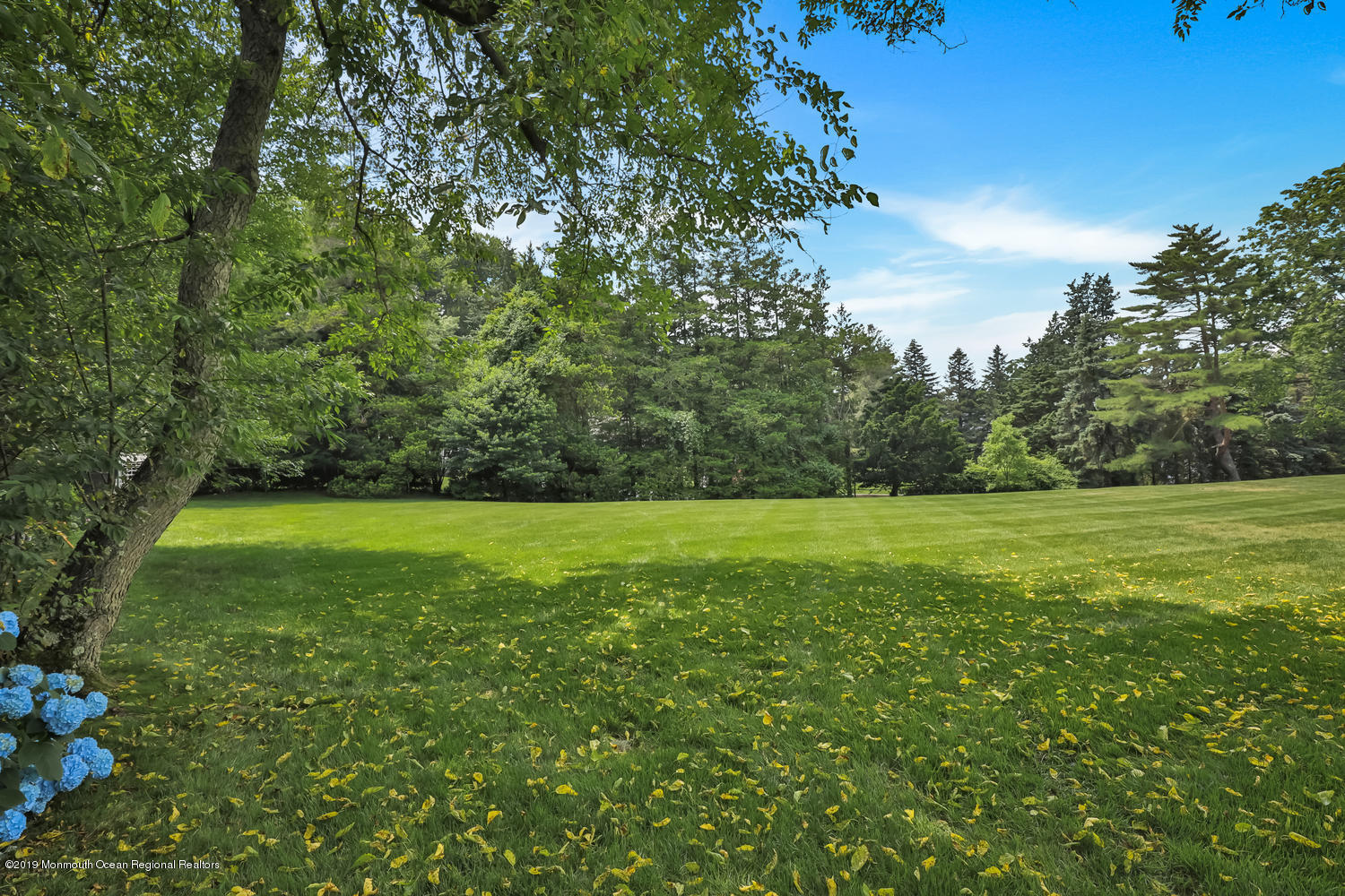 4 Briarwood Road Rumson, NJ 07760 - Photo 28 of 33 Lovely Yard - Privacy abounds