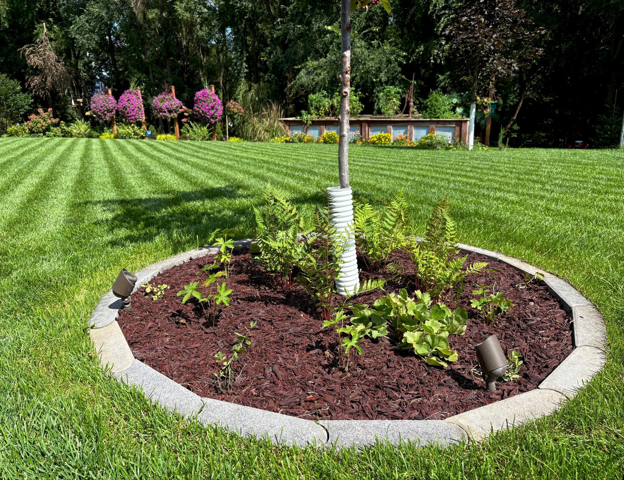 8053 Trappers Ridge Drive Clear Lake, MN 55319 - Photo 61 of 72