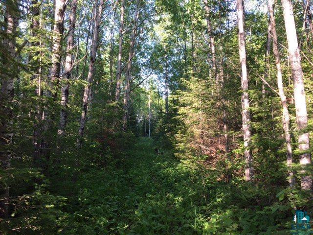 1142 Camp 20 Road Grand Marais, MN 55604 - Photo 7 of 17