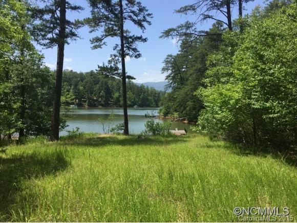 Lts20-21 South Cove Road, Unit 20/21 Mill Spring, NC 28756 - Photo 1 of 12 Gallery Image 1
