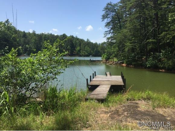 Lts20-21 South Cove Road, Unit 20/21 Mill Spring, NC 28756 - Photo 2 of 12 Gallery Image 2
