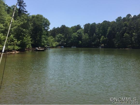 Lts20-21 South Cove Road, Unit 20/21 Mill Spring, NC 28756 - Photo 4 of 12 Gallery Image 4