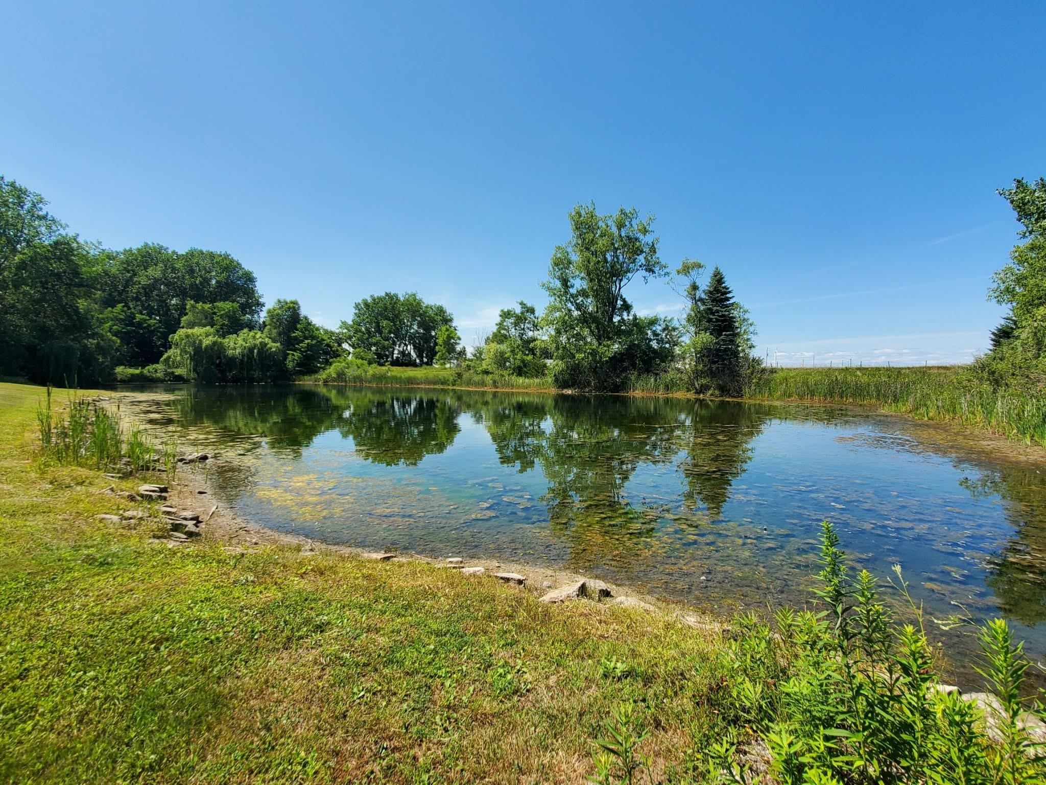 North Ransom Road Breckenridge, MI 48662 - Photo 12 of 27
