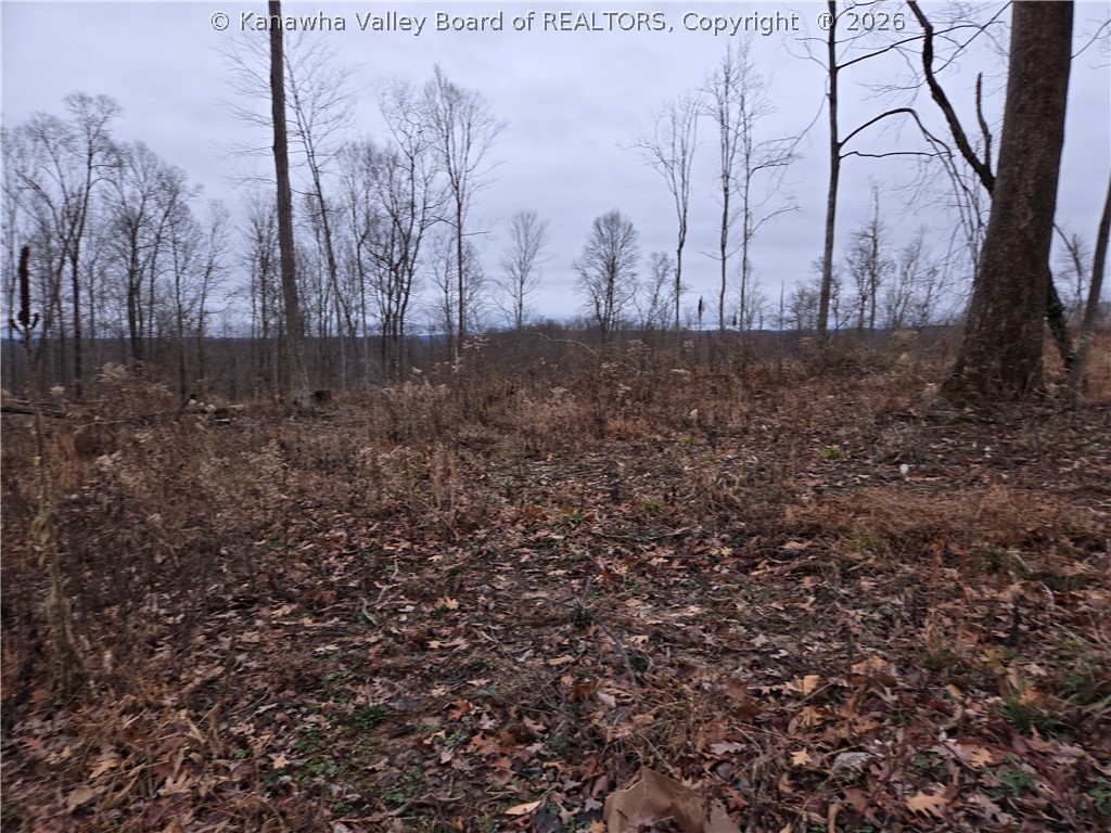 0 Beechy Road Procious, WV 25164 - Photo 27 of 29 Gallery Image 27